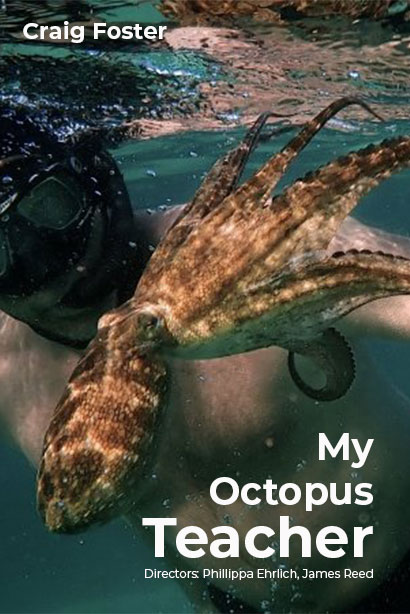 My Octopus Teacher | Netflix (2020) บทเรียนจากปลาหมึก
