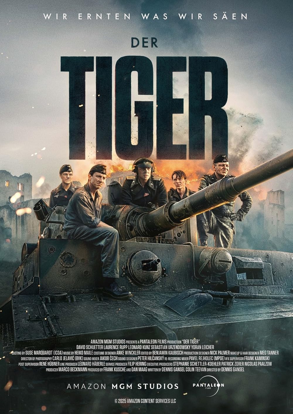 The Tiger (2025)