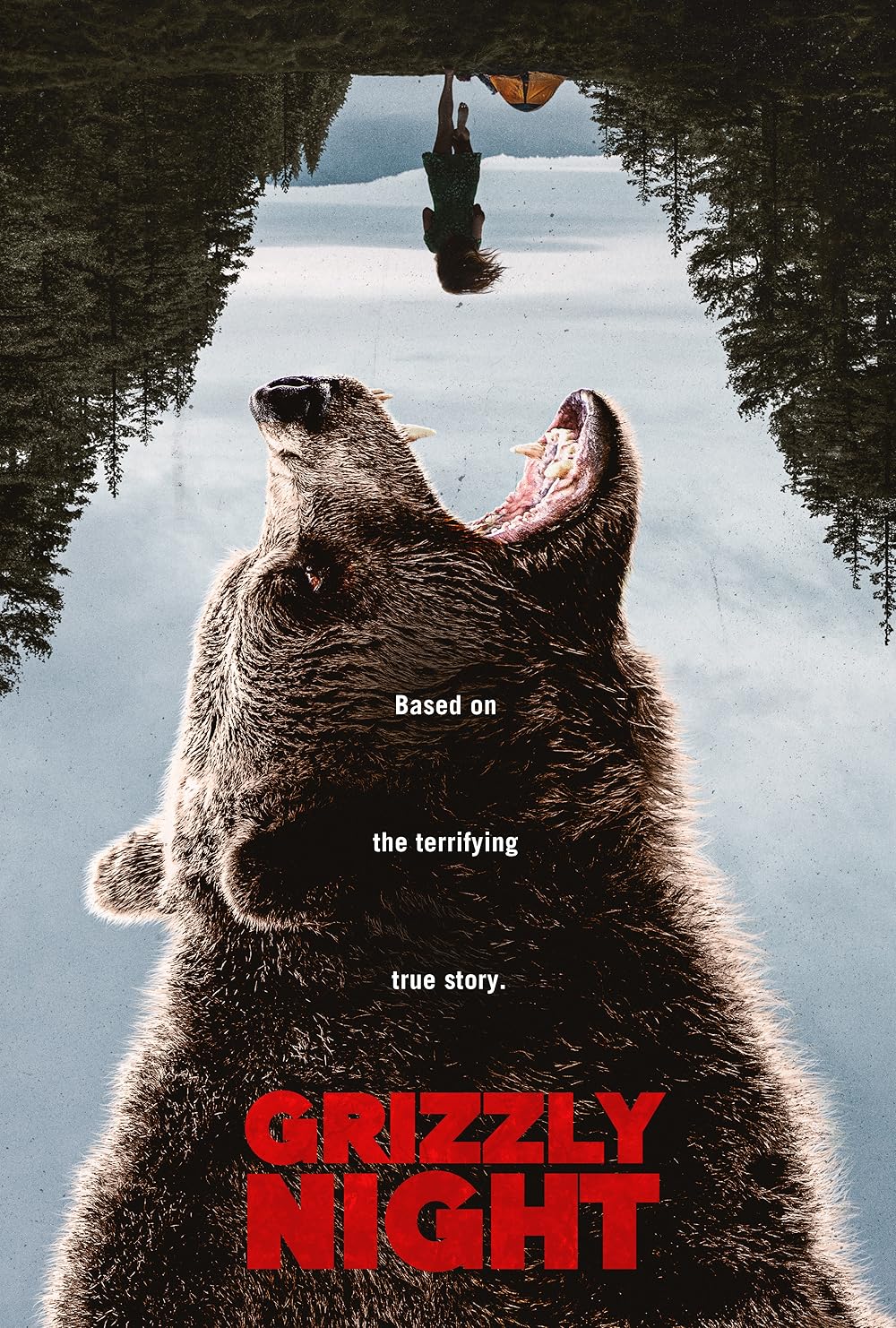 Grizzly Night (2026)